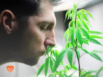 Детоксикация от марихуаны в Корсакове